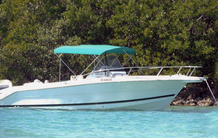 Bimini Top