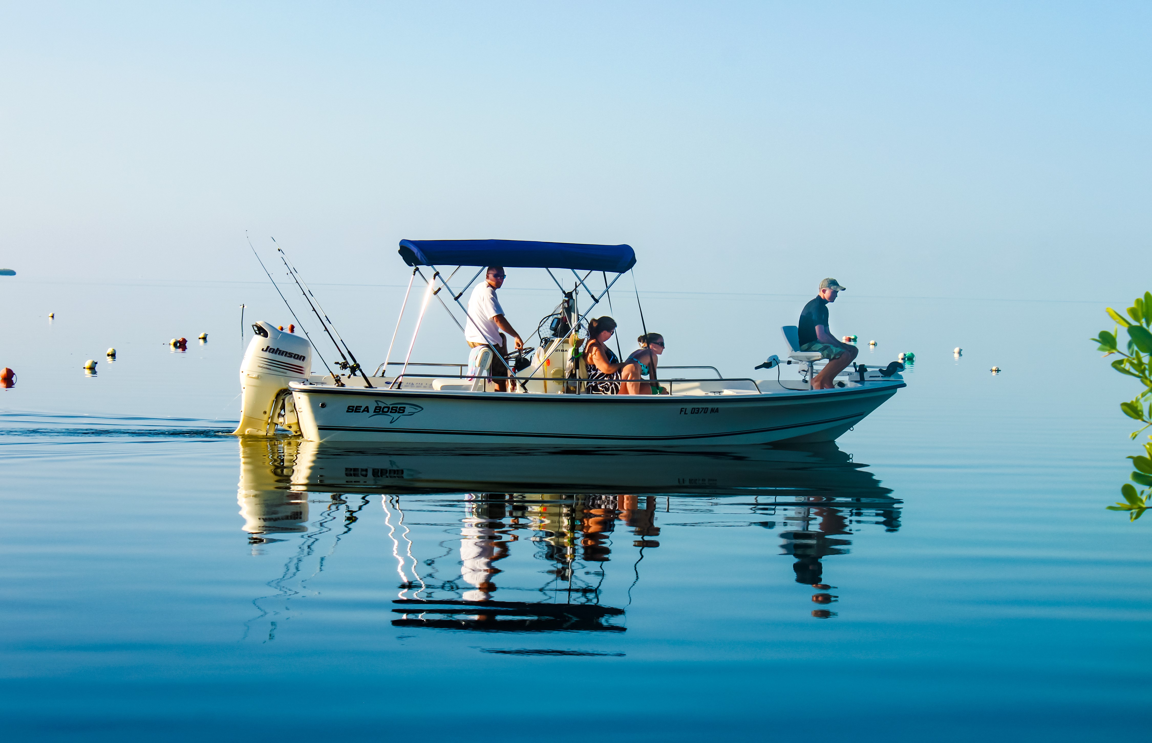 Bimini Top